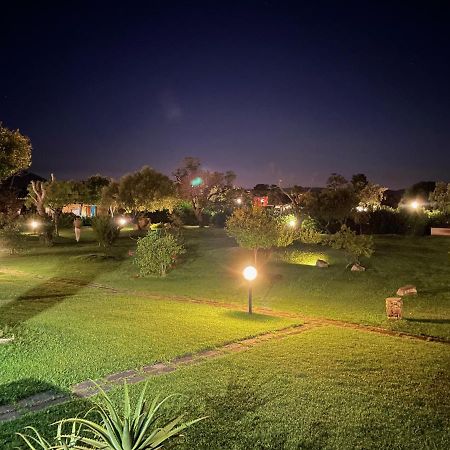 Appartamento In Villaggio, A 150Mt Dal Mare サン・テオドーロ エクステリア 写真