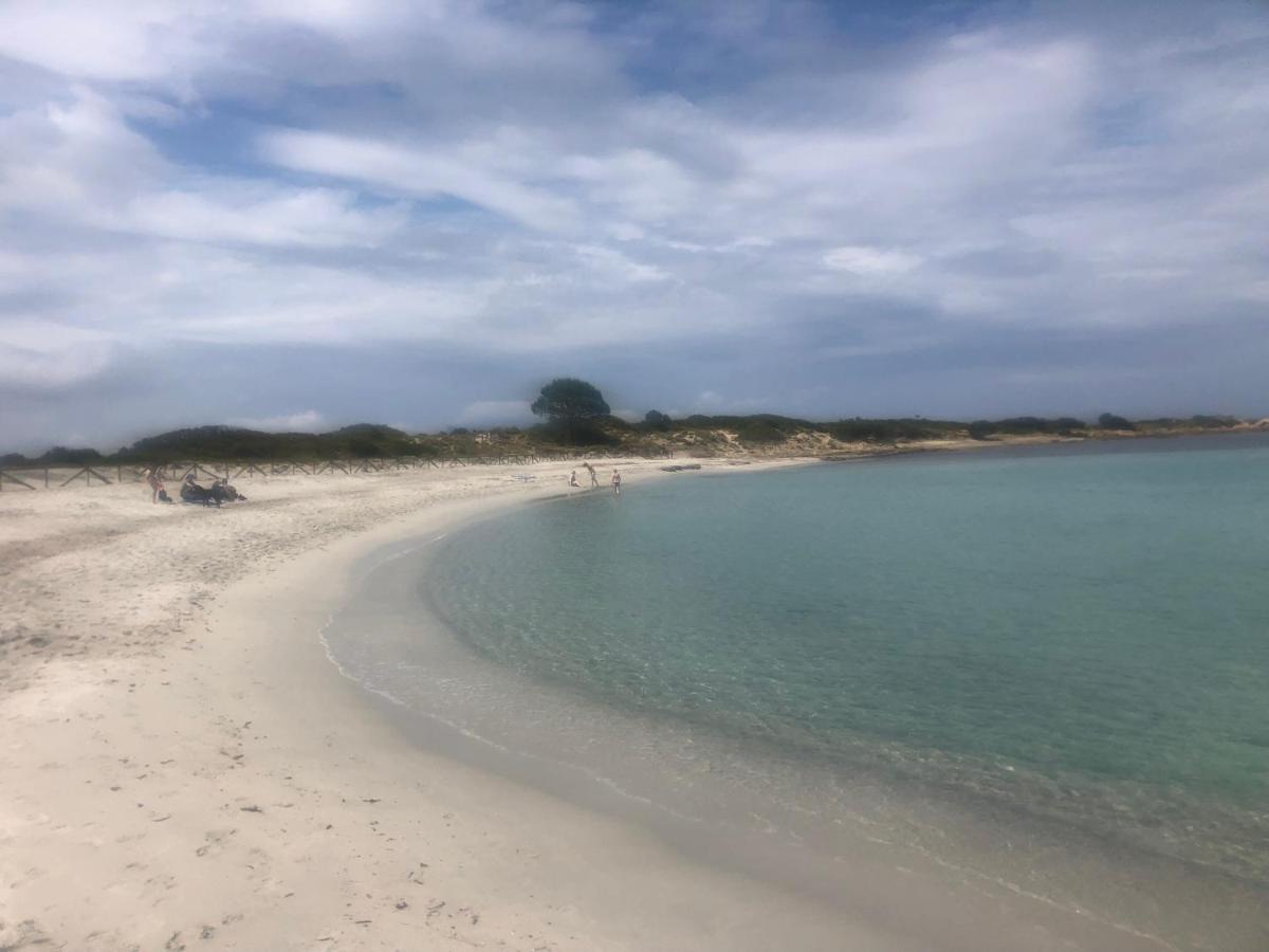 Appartamento In Villaggio, A 150Mt Dal Mare サン・テオドーロ エクステリア 写真